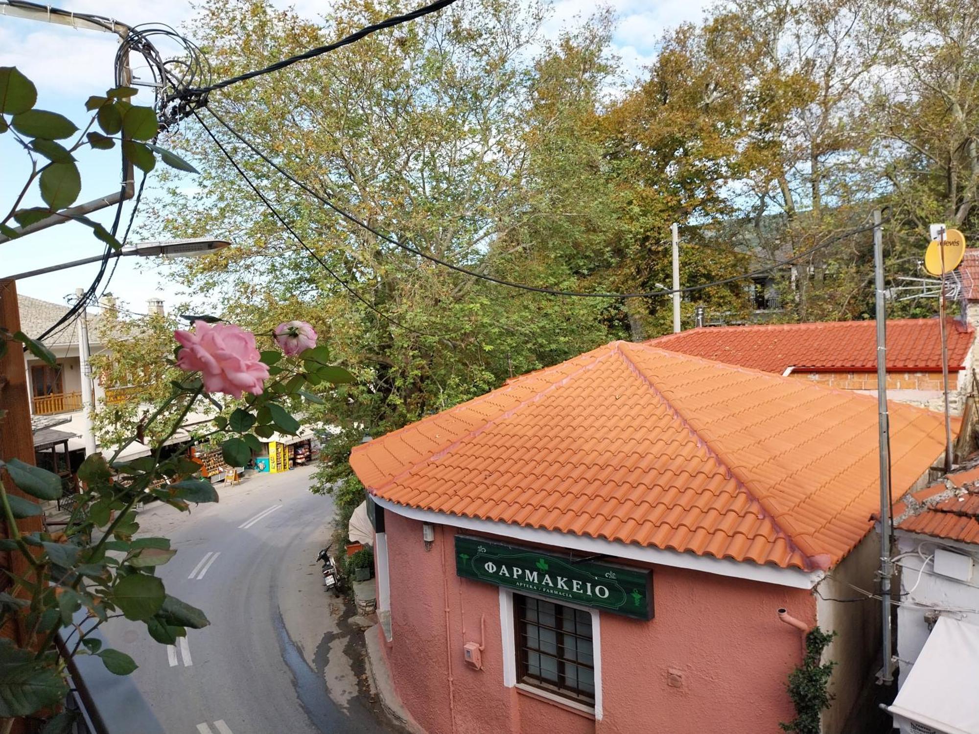 Marousos Central Guesthouse Portariá Buitenkant foto